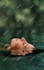 do professional photo editing and background removal in photoshop