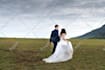 do professional and cinematic wedding video editing