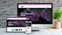 create responsive wordpress website design