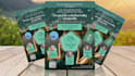 design a professional flyer or brochure