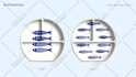 create unique and exclusive pattern design for your product