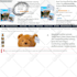 do flat file update to fix amazon listing errors, variation issues, bulk listing