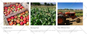 do modern squarespace website design or redesign, website development
