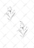 create a fine line flower tattoo