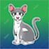 make cute and attractive cartoon design of your pets photo