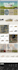 design ecommerce website and a wordpress business website