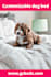 create high traffic pinterest pin