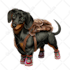 draw a cartoony custom pet portrait