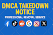 delete negative articles, false bad news links remove mugshots cases from google