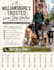 professionally edit flyer brochure and poster