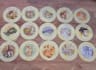 offer a psychic medium reading with tea leaves and guidance