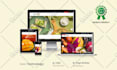 fix responsive issues and make your website mobile friendly