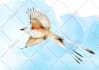 make animal illustrations in watercolor