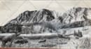 draw realistic pencil, pen, or charcoal drawings from a photo or your idea