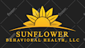 do logo redesign with vector and flyers edit or any graphic design