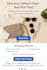 design an editable mailchimp email template  email marketing activecampaign smtp