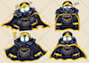 do png characters for streaming or video for veadotube mini