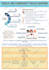 create flyer within 12 hr