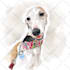 draw pet portrait illustration watercolor style