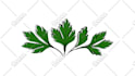 convert any image or sketch to vector, redraw, convert logo to vector