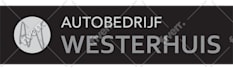 duplicate, rebuild, revamp or recreate logo into vector