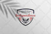 design crest heraldic, emblem and shield logo