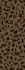 design seamless pattern for printing on textile