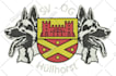 do fast embroidery digitizing and design from your image in dst pes emb formats