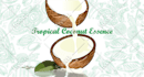 vectorize, edit, modify and retrace your existing logo