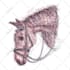 draw your pet portrait in scribble art portrait style