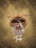 do realistic custom pet portrait digital oil painting gift