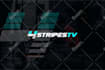 create a professional logo and corporate brand identity system