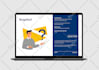 design a winning investor pitch deck for funding