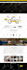 design shopify website, shopify store design or shopify website development