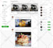 rebuild custom ai website development as full stack front and back end developer
