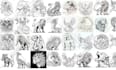 create  3 free adult anime coloring book for amazon kdp