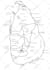 convert raster to vector, jpg to vector, redesign logo maps