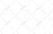 duplicate,change font, edit,recreate, recolor,redraw, vectorize or fix logo