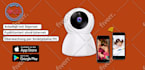 do creative flyer, envelope, invitation designs in 11 hour