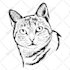 create detailed vector art black and white your pictures
