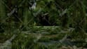 create 3d game environment, level design in unreal engine