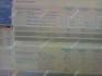 business strategic management plan bsg cesim globus mikes bike simulation