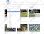 analyze and fix any bug or error on your wix website