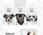 build high converting wordpress elementor landing page for sales and leads