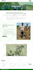 design a professional author website, book author website, ebook website