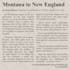 design a professional newspaper ad within 24 hours