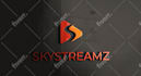 design professional business media and marketing logo in 12 hours