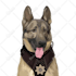 draw vector illustration dog cat animal pet cartoon portrait