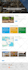 build professional, stunning, and responsive wordpress website design