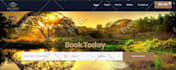 create professional wordpress website design, seo optimized